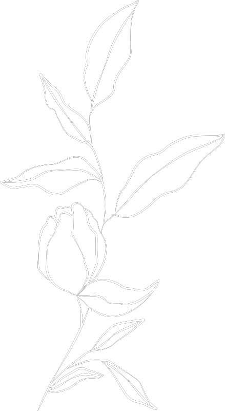 Feuille et fleur décorative zen