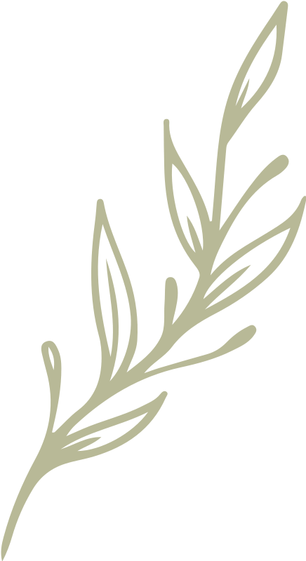 Lierre montant décoratif