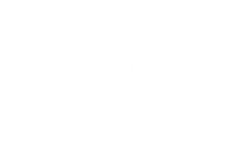 Papillon décoratif zen et nature