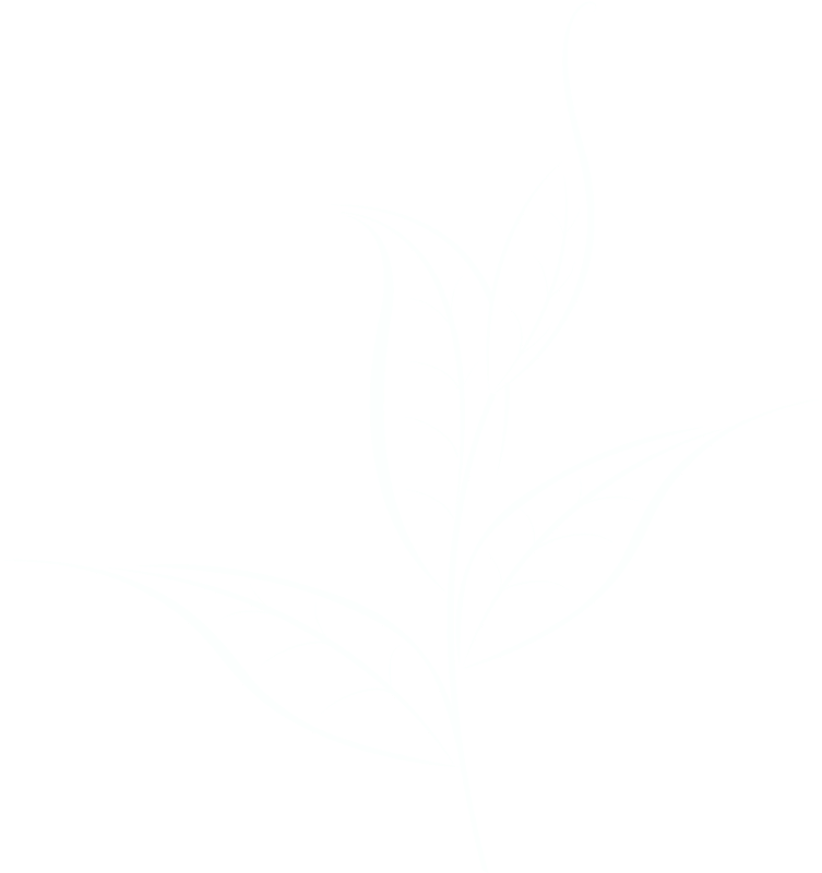 Petite plante décorative relaxante