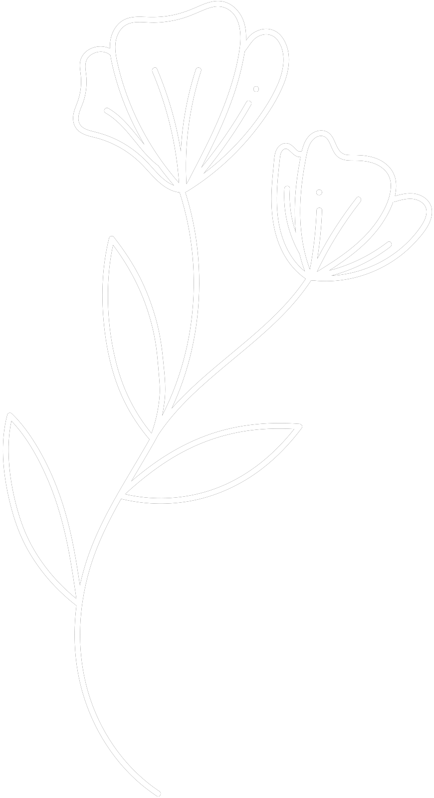 Rose décorative bien-être