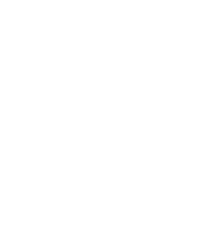 Lierre épais naturel décoratif