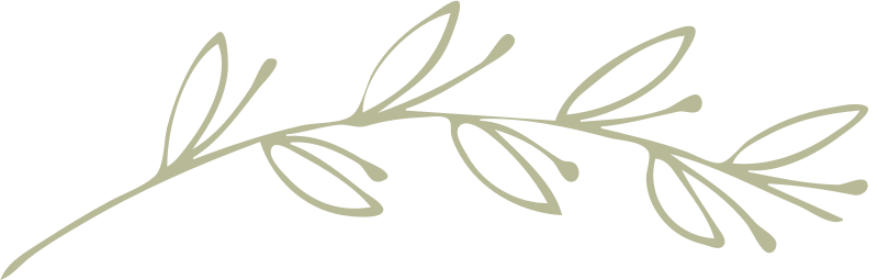 Lierre horizontal décoratif