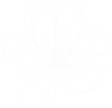 Fleur décorative centrale sophrologie